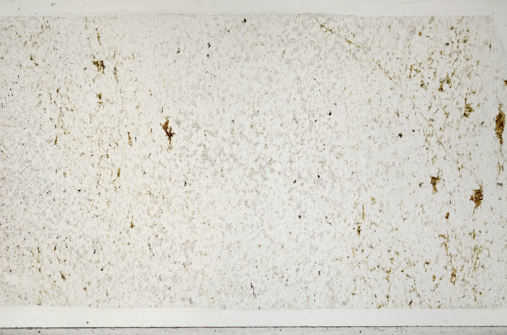 Plane Polarized, N1062