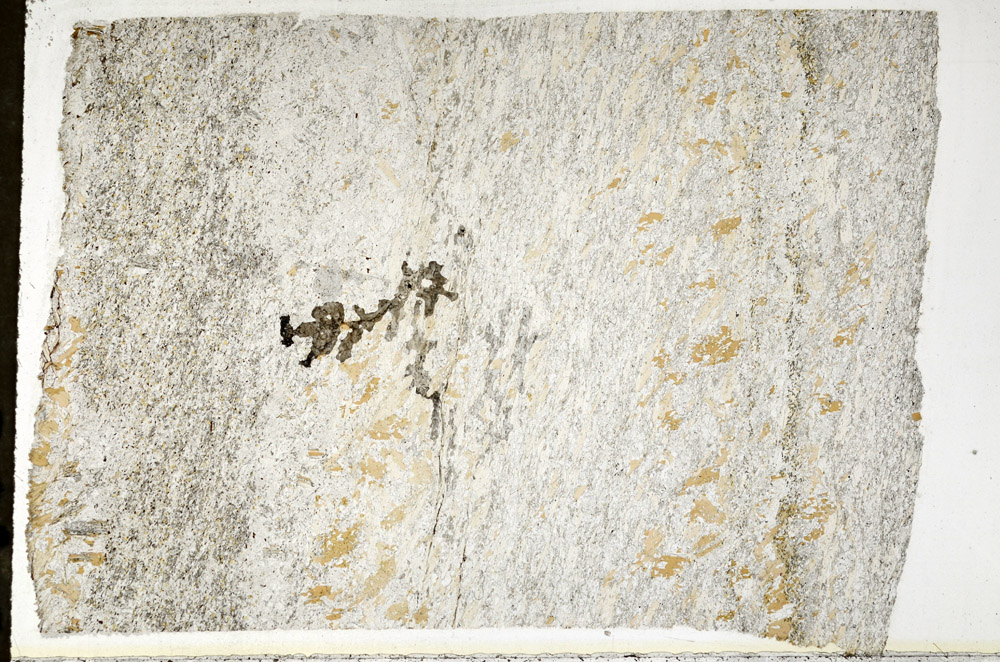 Plane Polarized, N1082