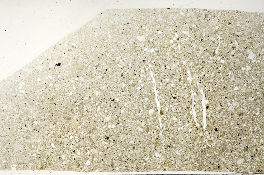 Plane Polarized, N1275