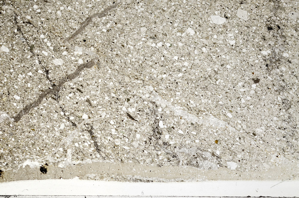 Plane Polarized, N1456