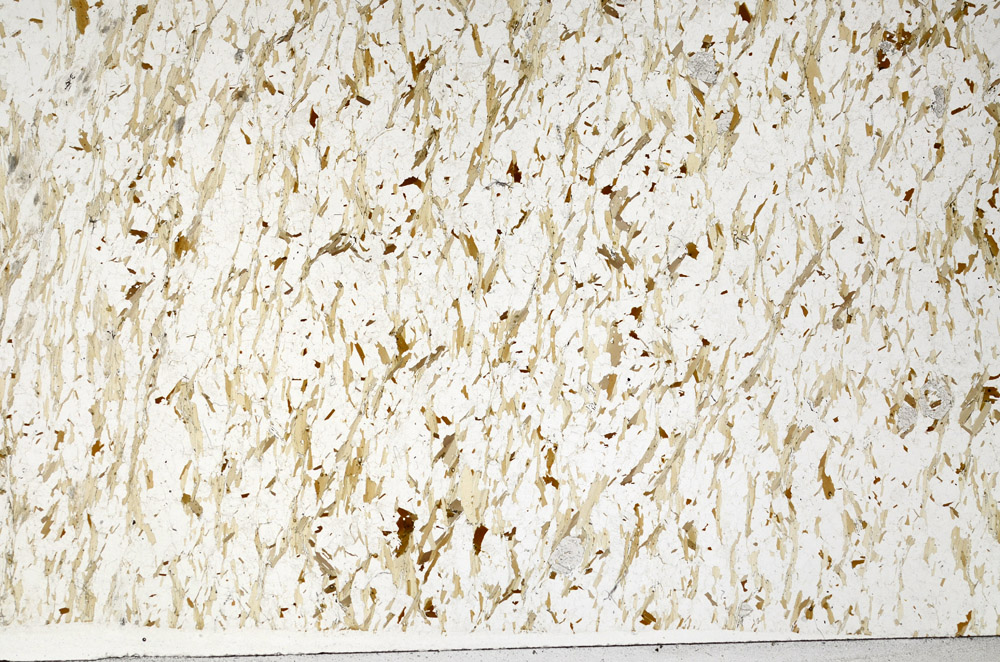 Plane Polarized, N1479