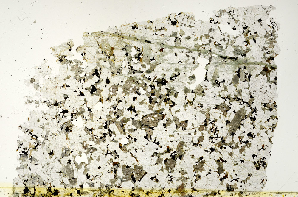 Plane Polarized, N2613