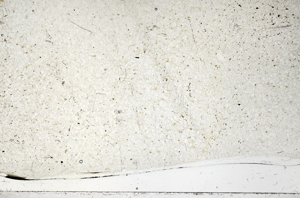 Plane Polarized, N2721