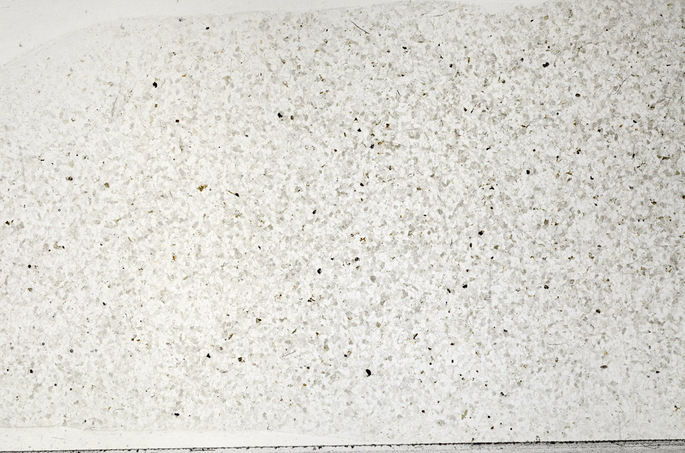 Plane Polarized, N2723