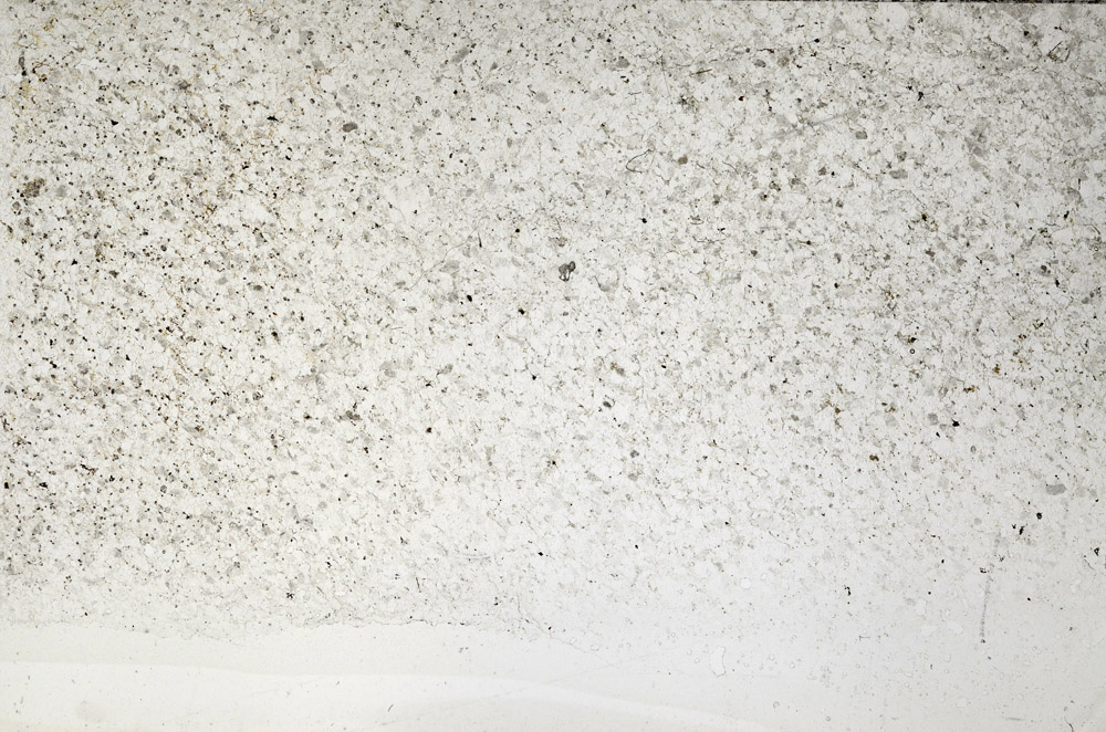 Plane Polarized, N2724