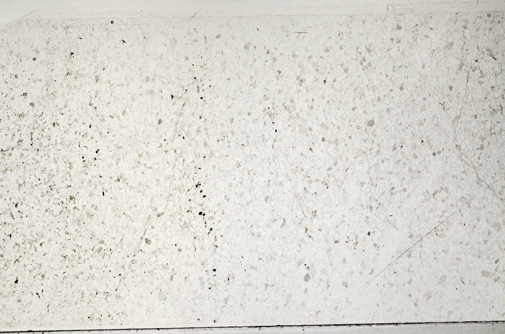 Plane Polarized, N2725