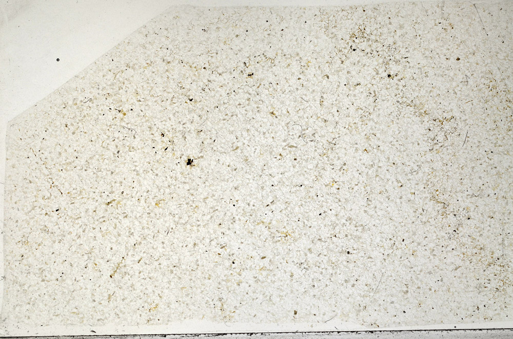 Plane Polarized, N2726