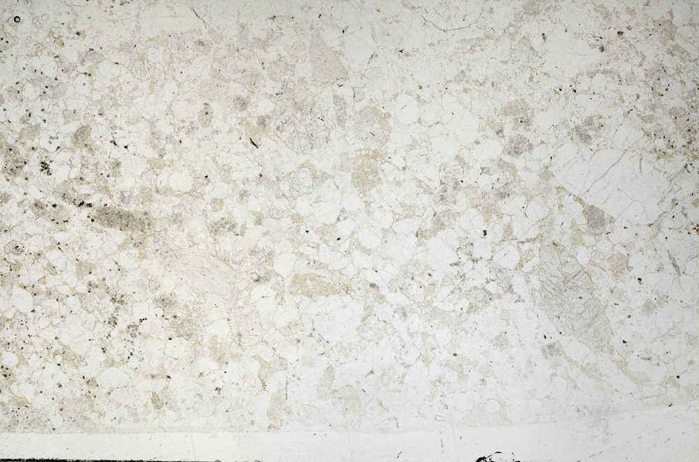 Plane Polarized, N2728