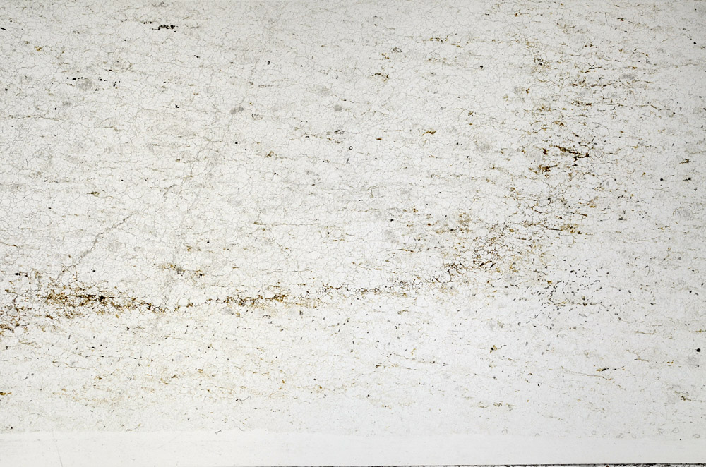 Plane Polarized, N2729