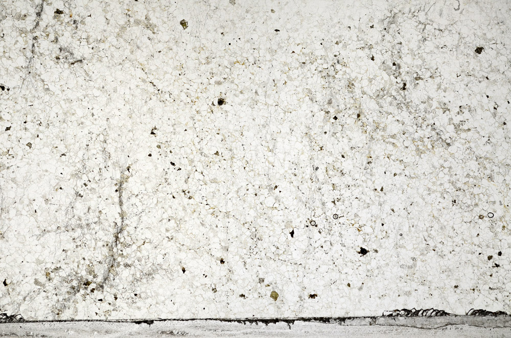 Plane Polarized, N2730