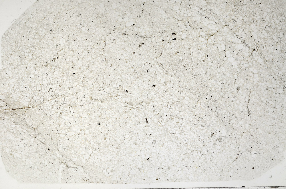 Plane Polarized, N2731