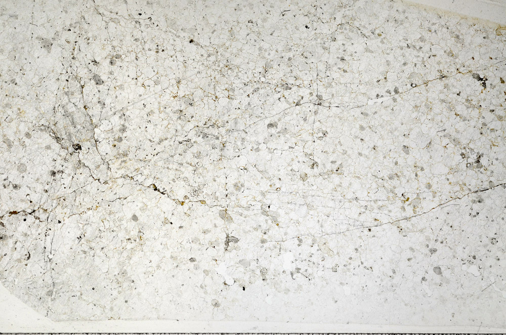 Plane Polarized, N2732