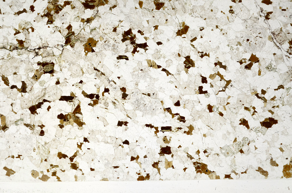 Plane Polarized, N2735