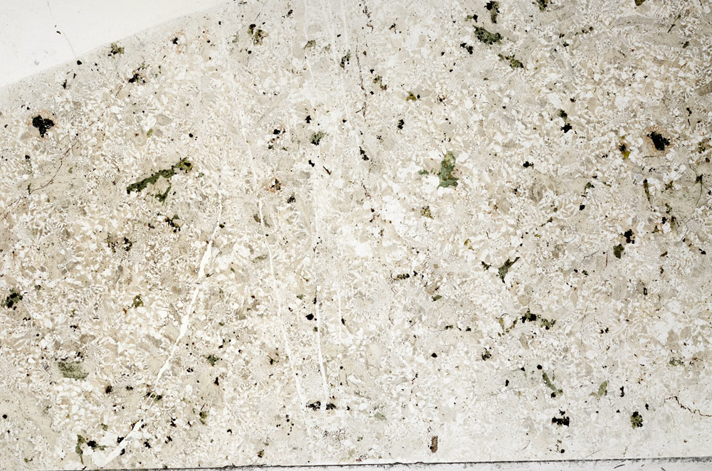 Plane Polarized, N2736