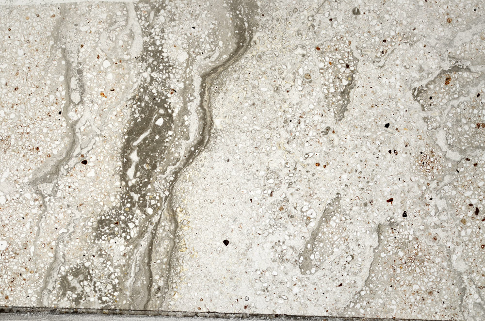 Plane Polarized, N2809