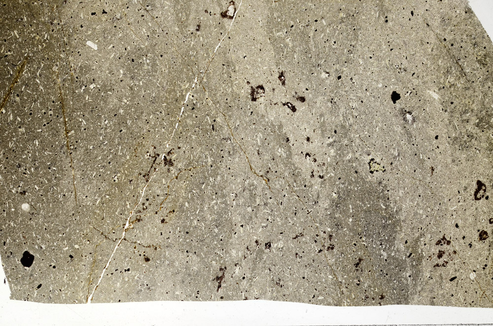 Plane Polarized, N2897