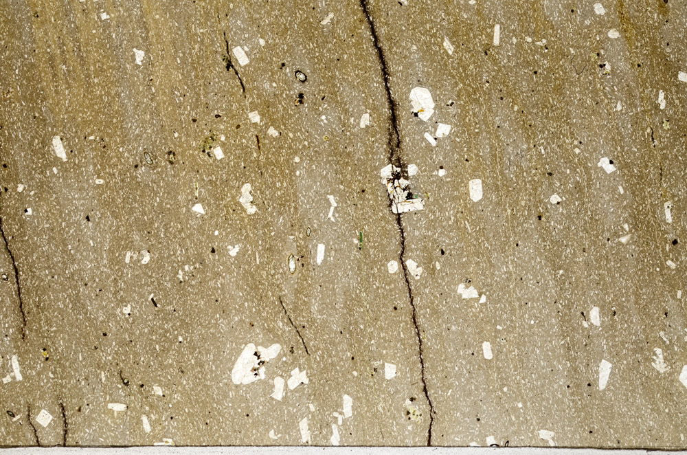 Plane Polarized, N2921