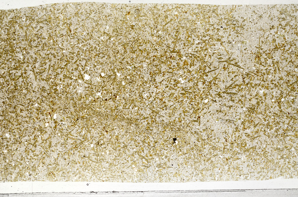 Plane Polarized, N2945