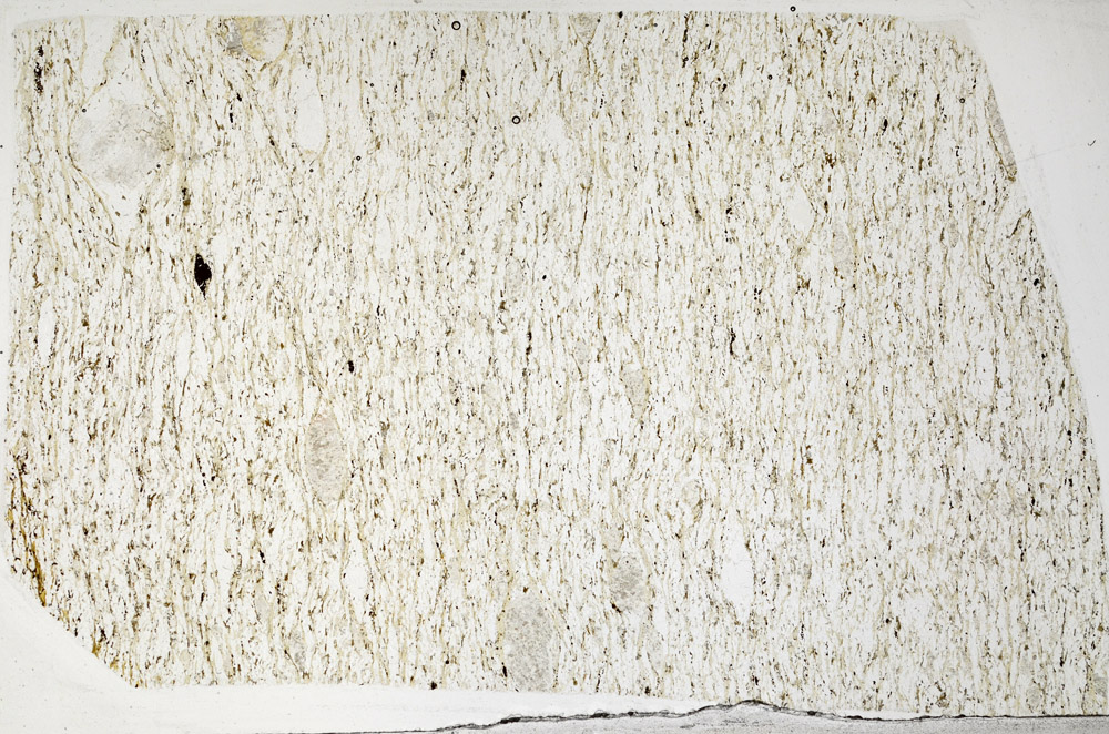 Plane Polarized, N2964
