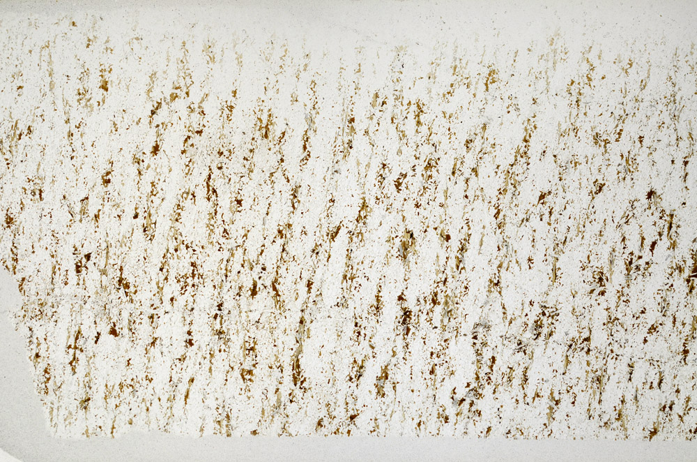 Plane Polarized, N3121