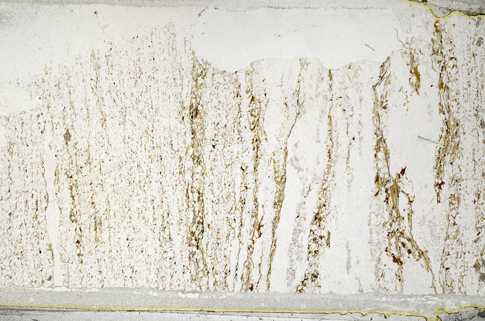 Plane Polarized, N3122