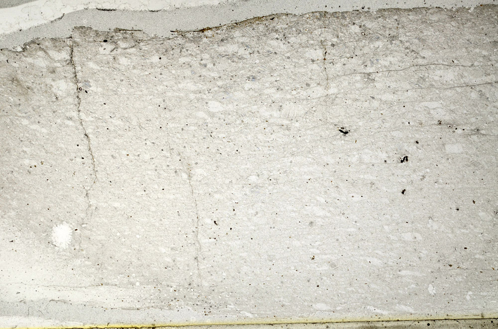 Plane Polarized, N3146