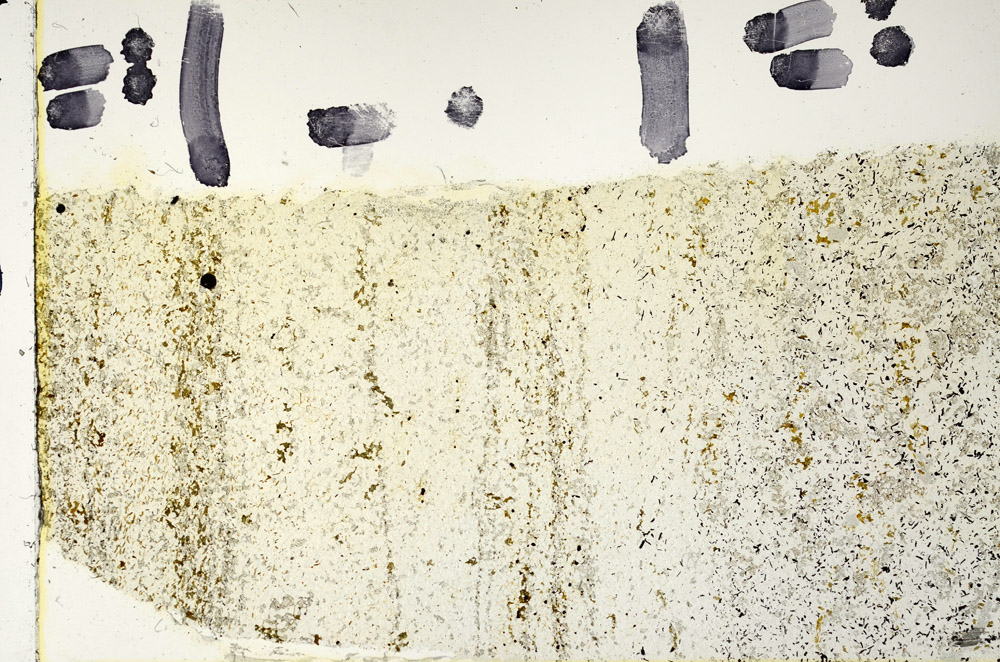 Plane Polarized, N3320