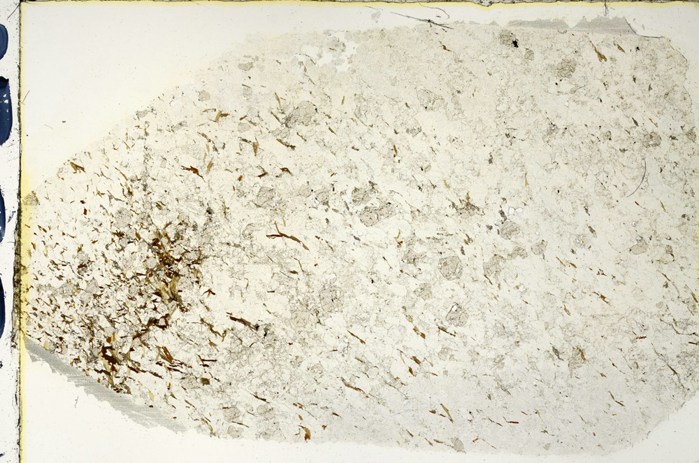 Plane Polarized, N3328