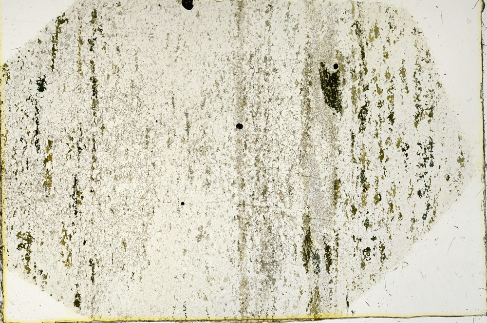 Plane Polarized, N3338