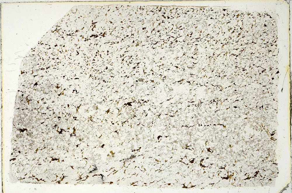 Plane Polarized, N3341