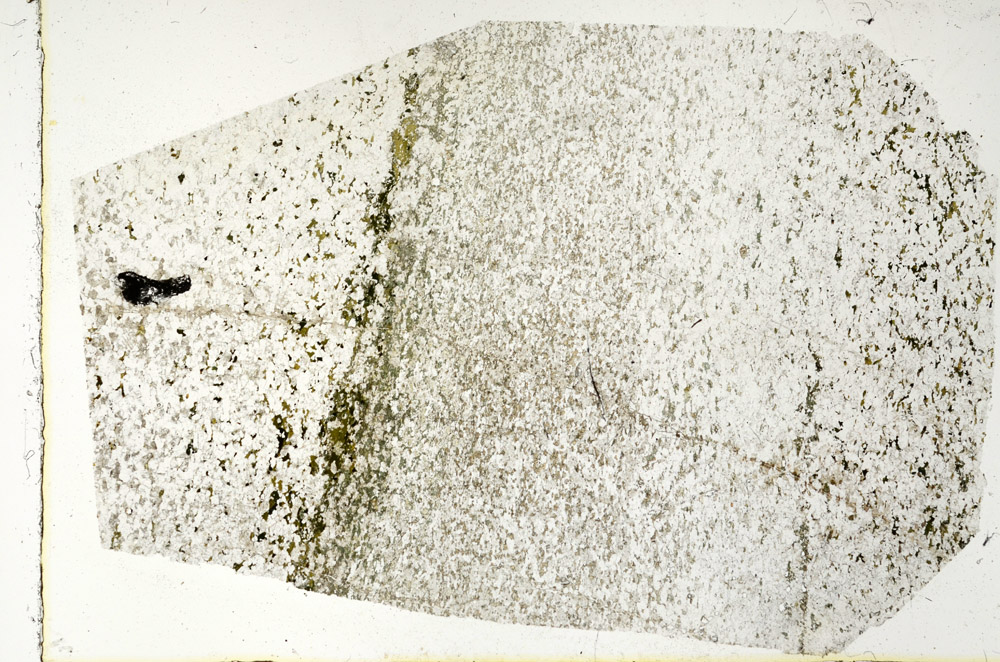 Plane Polarized, N3342
