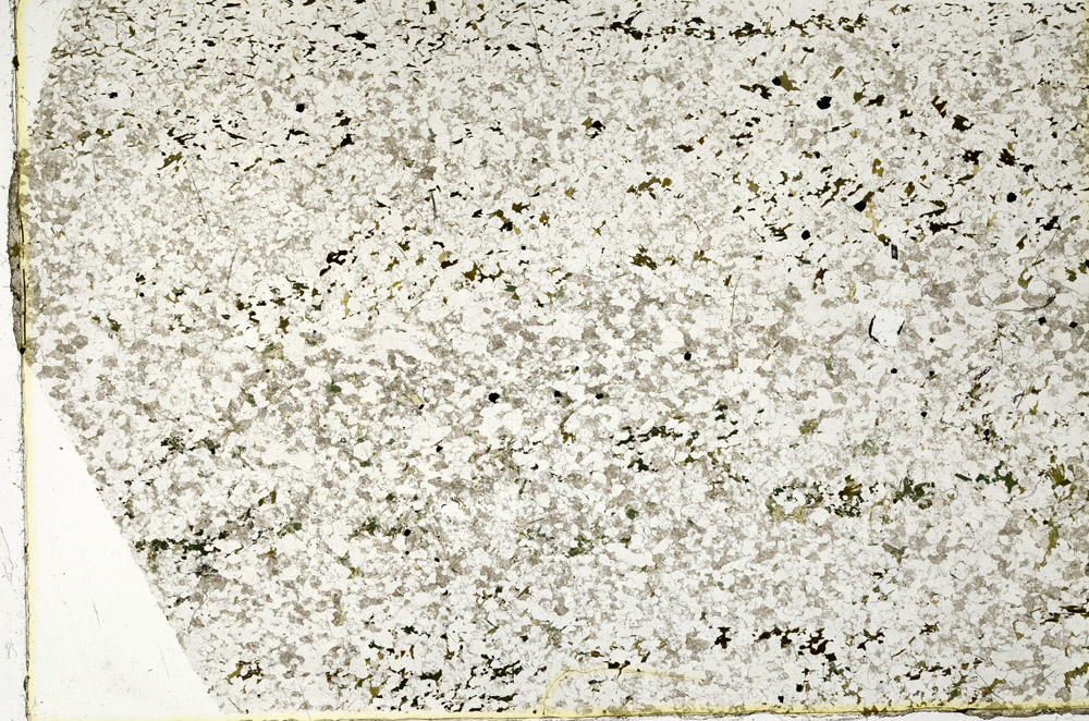 Plane Polarized, N3345