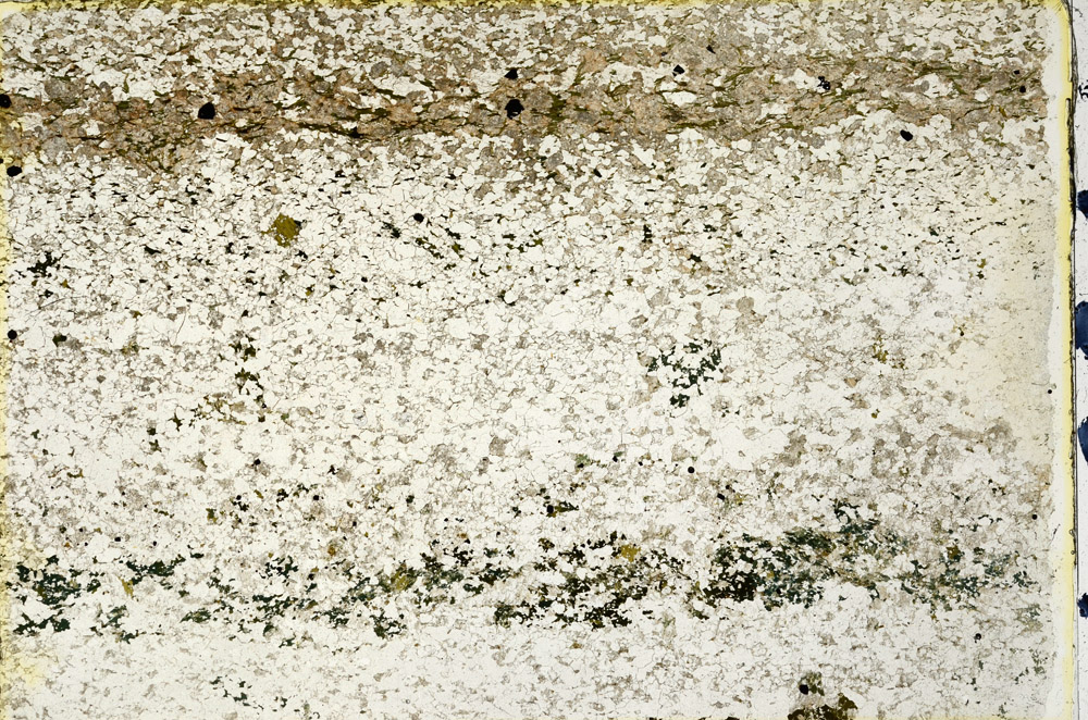 Plane Polarized, N3346