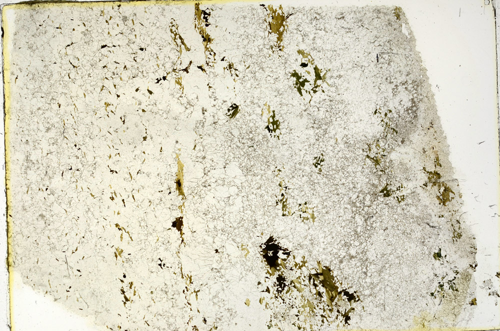 Plane Polarized, N3347