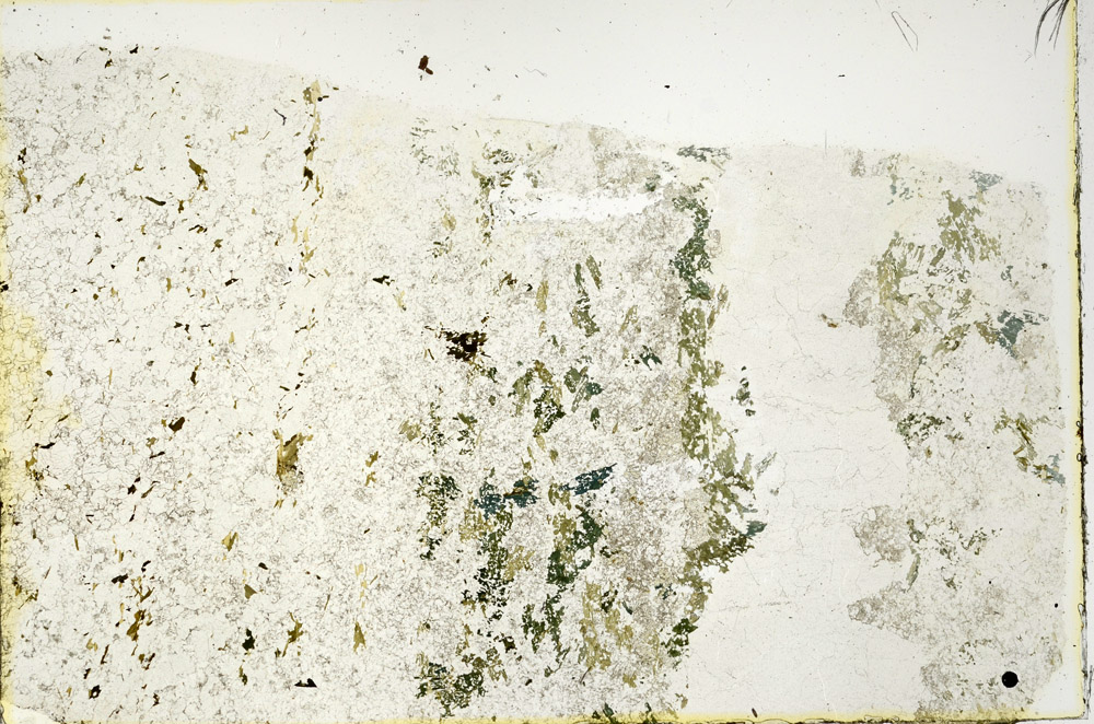 Plane Polarized, N3349