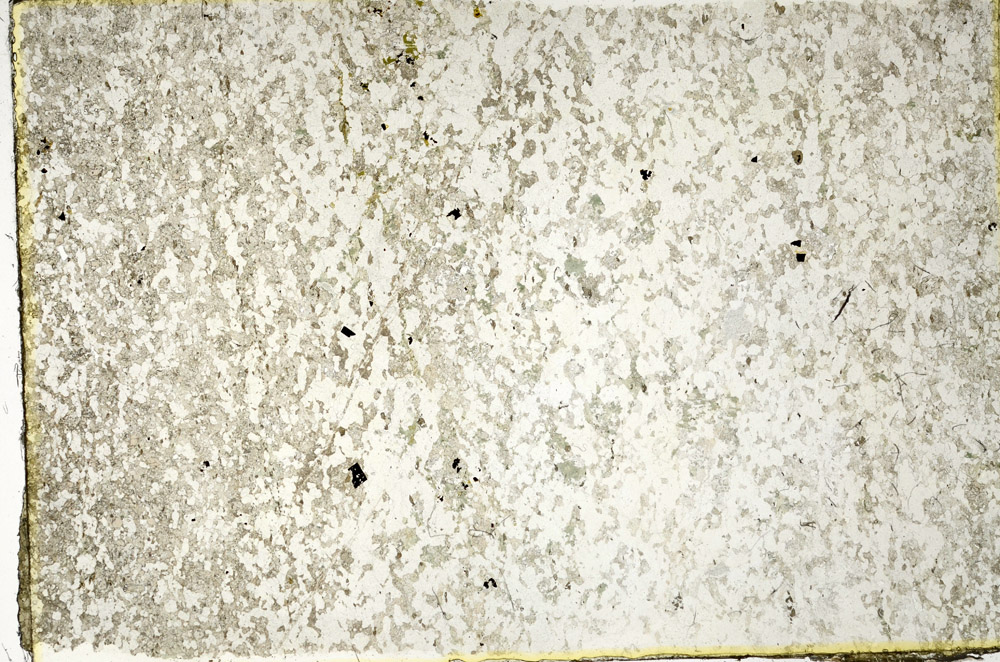 Plane Polarized, N3352