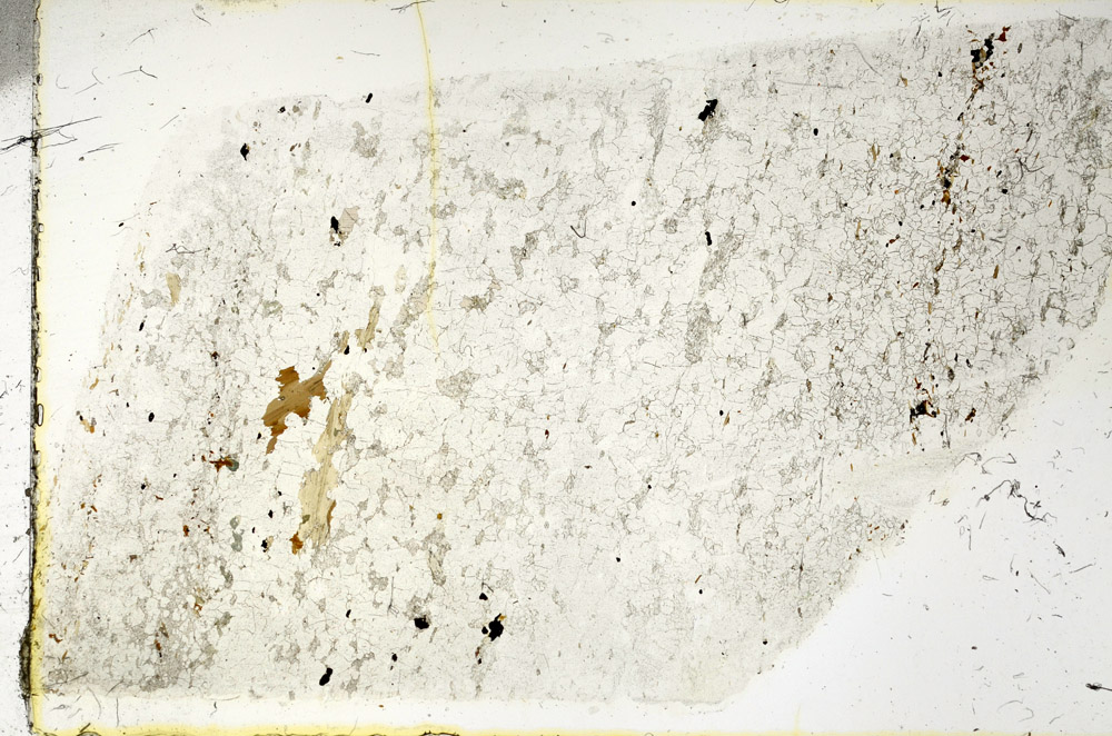 Plane Polarized, N3354