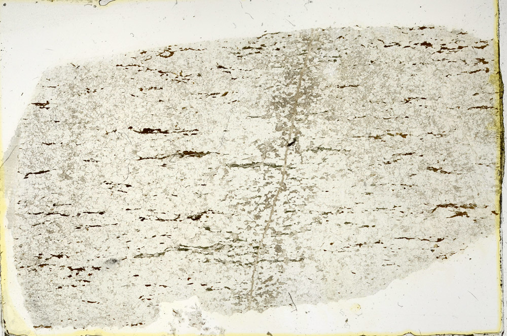 Plane Polarized, N3381