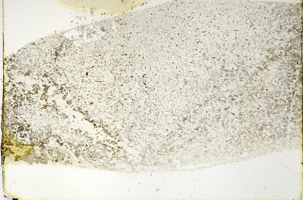 Plane Polarized, N3383