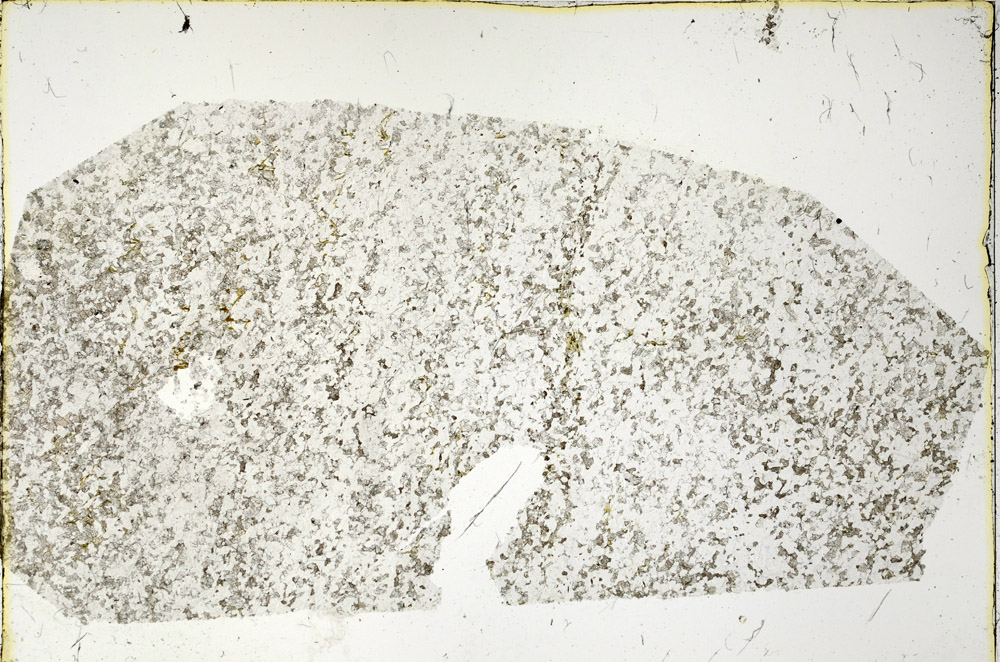 Plane Polarized, N3390