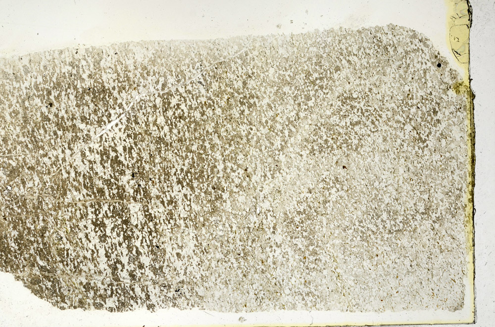 Plane Polarized, N3393