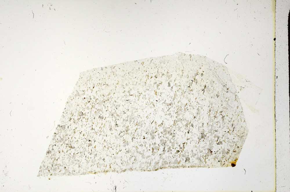 Plane Polarized, N3398