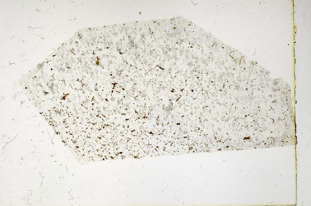 Plane Polarized, N3399