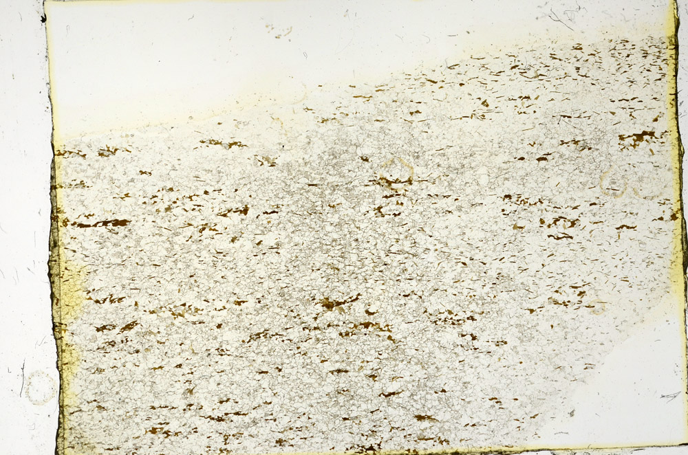 Plane Polarized, N3401