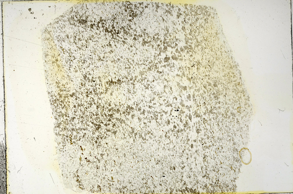 Plane Polarized, N3404