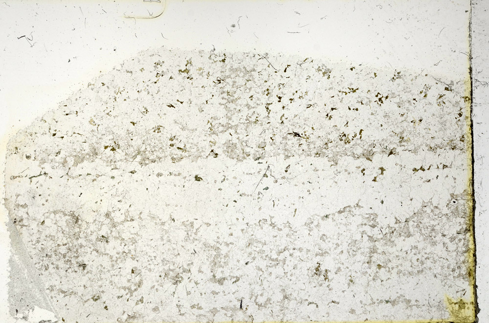Plane Polarized, N3407