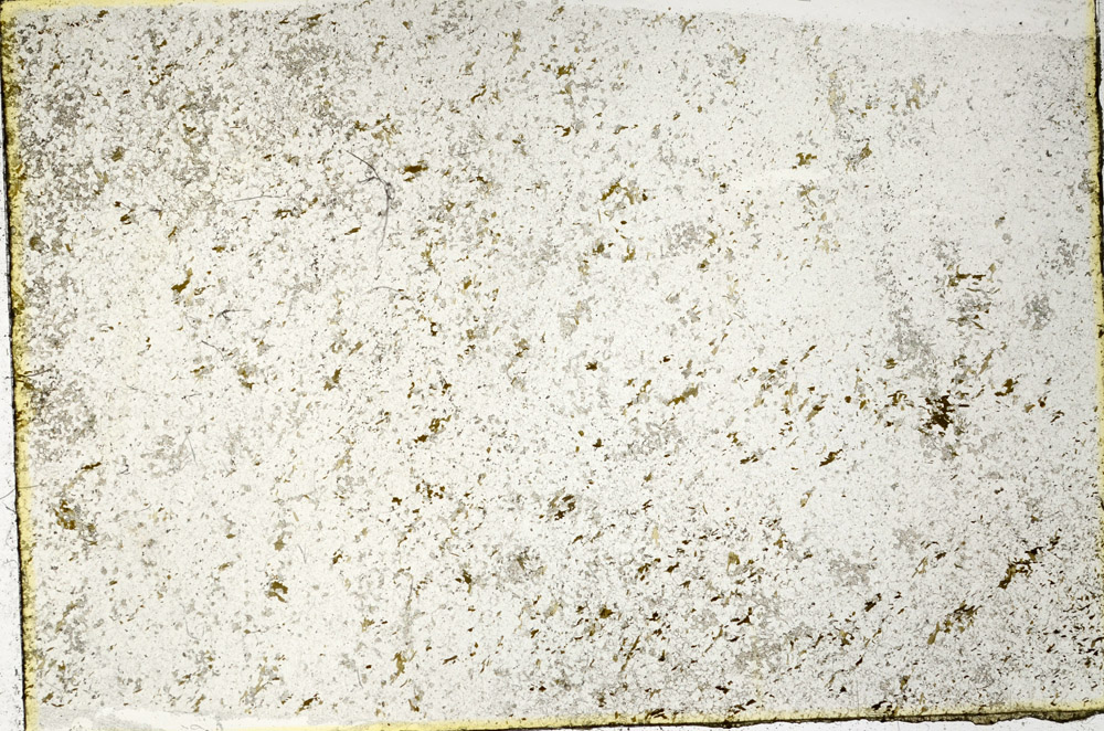 Plane Polarized, N3408