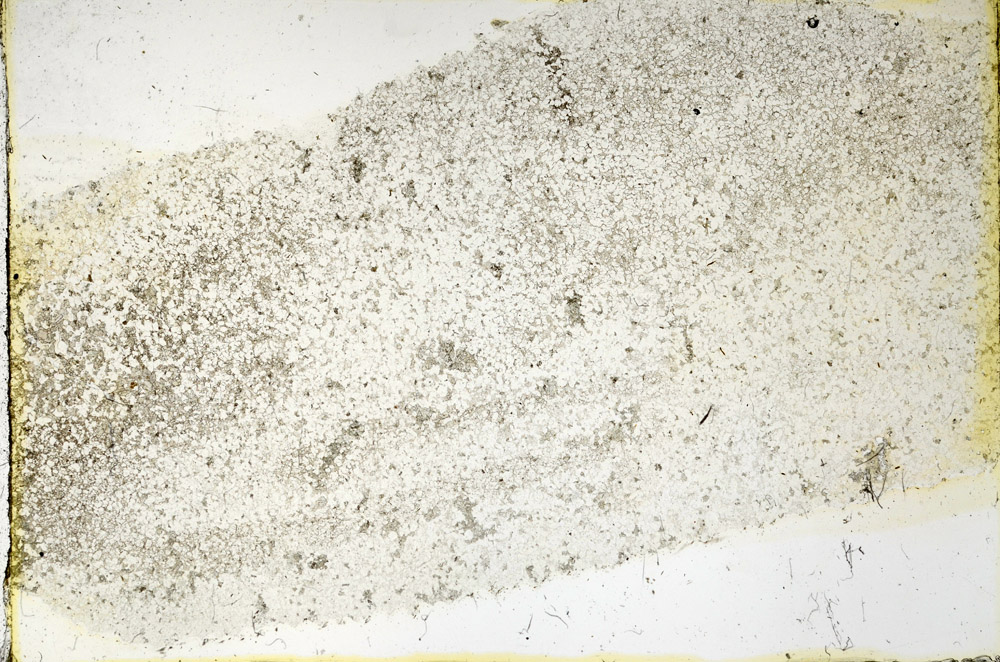 Plane Polarized, N3409