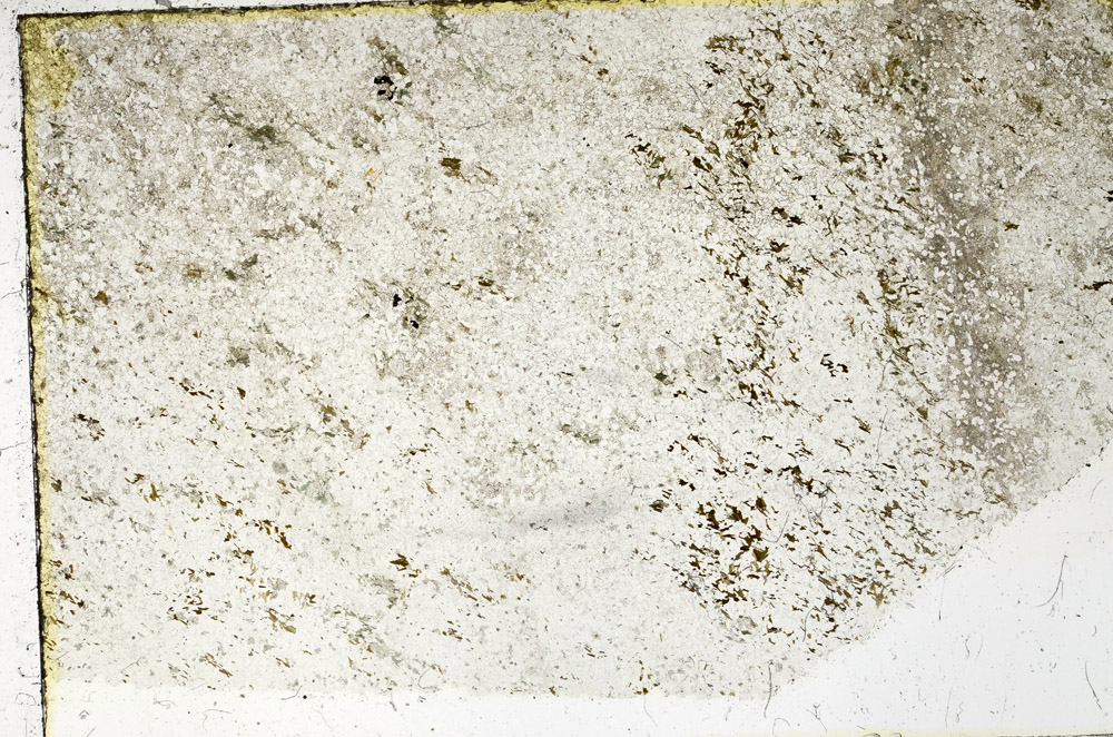 Plane Polarized, N3410