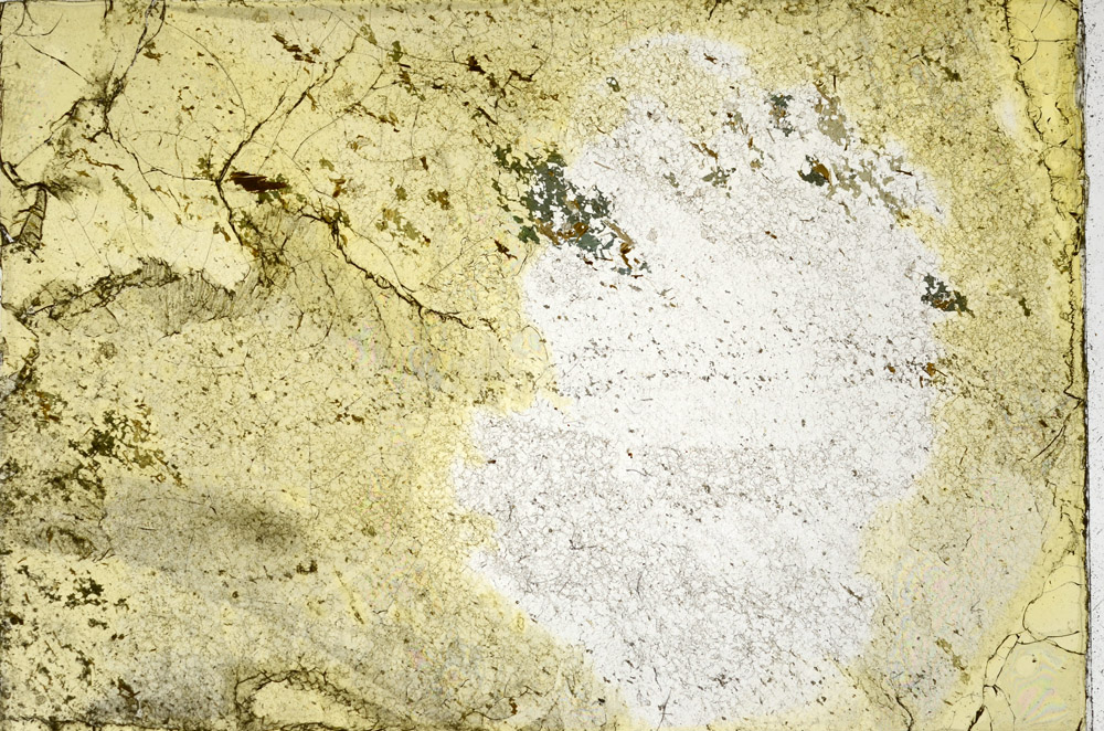 Plane Polarized, N3411